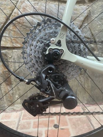 Mason Definition Campagnolo Ekar 2025 Road & Gravel d'occasion — image 3 sur 6