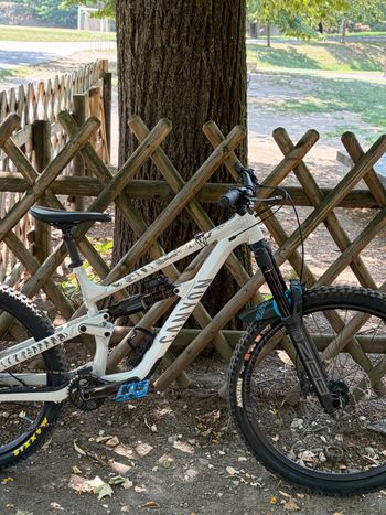 Używany Canyon Torque 6 2025 2025 MTB