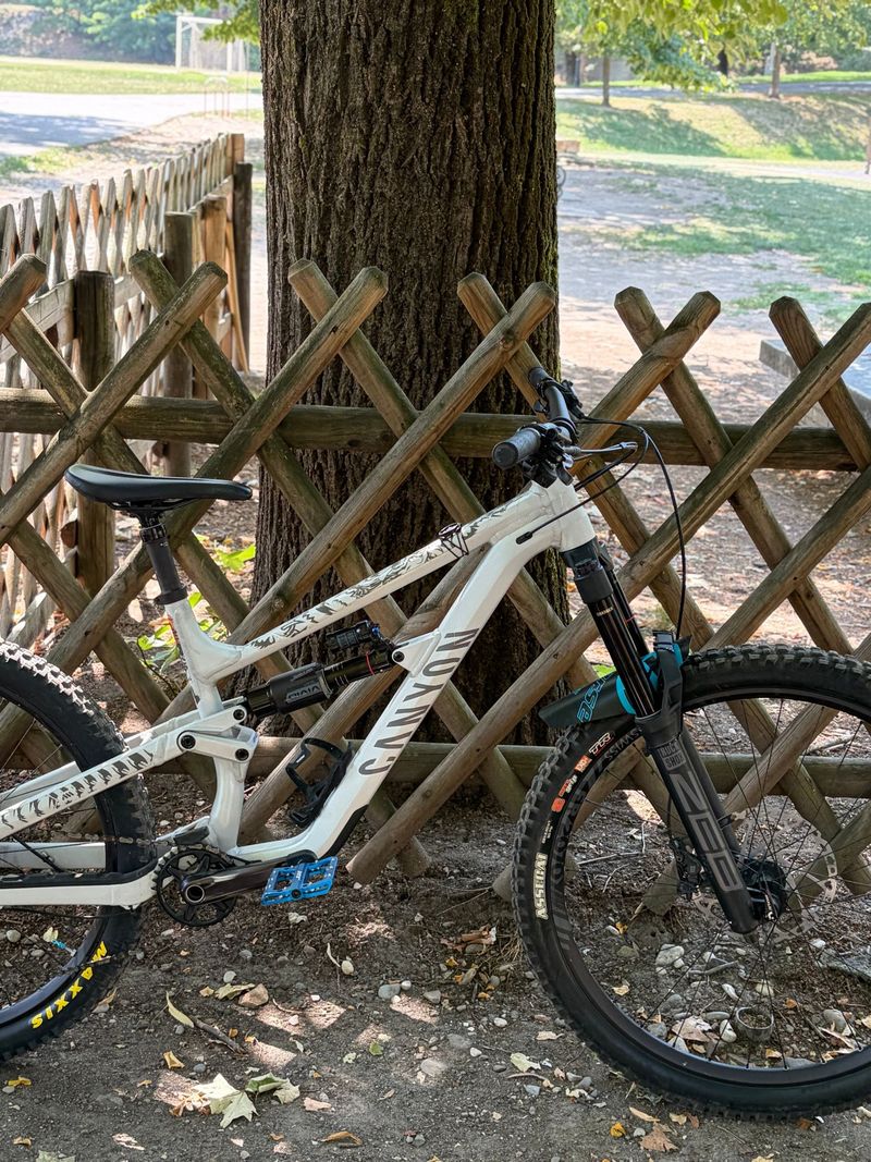 Used Canyon Torque 6 2025 2025 MTB