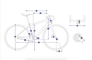 Käytetty Giant Revolt 1 2022 Frameset 2022 Road & Gravel — kuva 2 / 16