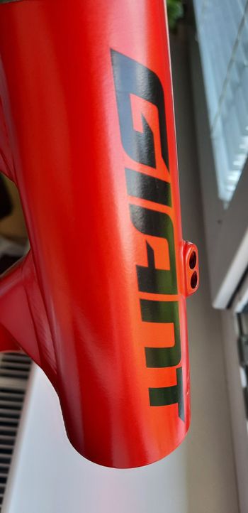 Käytetty Giant Revolt 1 2022 Frameset 2022 Road & Gravel — kuva 15 / 16