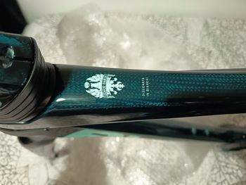 Gebrauchtes Bianchi Oltre RC - Team Replica 2026 Frameset 2026 Road & Gravel, Grün — Bild 3 von 13