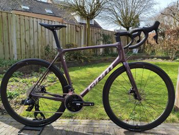 Used Giant TCR Advanced Pro, Disc 1 AR 2023 2023 Road & Gravel