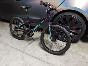 Gebrauchtes Coluer Custom 2021 Kids & Youth