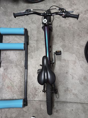Gebrauchtes Coluer Custom 2021 Youth, Violett — Bild 2 von 3