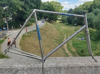 Centurion Super Elite 1981 Frameset 1981 Road & Gravel usato, Grigio chiaro — immagine 2 di 17