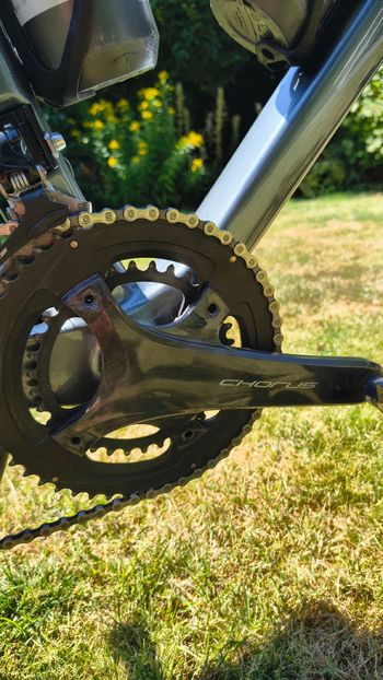 Used Brixa Cidneo Campagnolo Chorus 2022 Road & Gravel, Light Gray — image 9 of 15