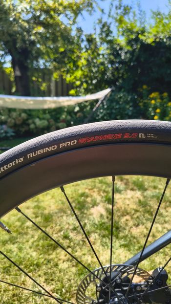 Used Brixa Cidneo Campagnolo Chorus 2022 Road & Gravel, Light Gray — image 10 of 15