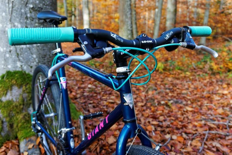 Used Giant Custom Urban, Blue — image 10 of 13