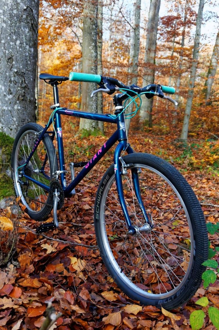 Used Giant Custom Urban, Blue — image 9 of 13