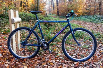 Used Giant Custom Urban, Blue — image 3 of 13
