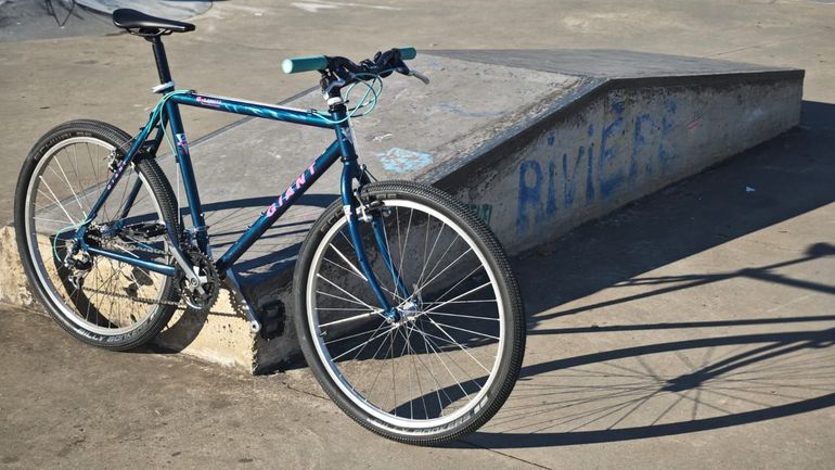 Used Giant Custom Urban, Blue — image 2 of 13