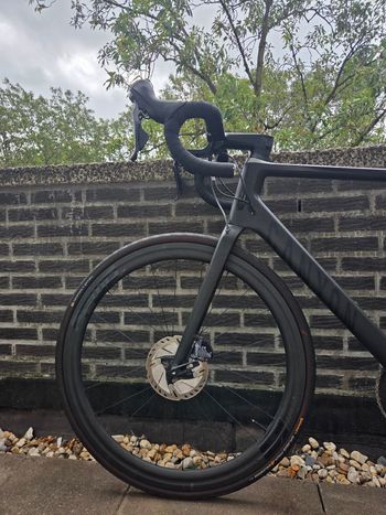 Brugt Canyon Ultimate CF SL Disc 8.0 2020 2020 Road & Gravel — billede 7 af 10