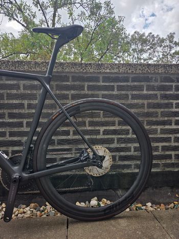 Brugt Canyon Ultimate CF SL Disc 8.0 2020 2020 Road & Gravel — billede 8 af 10