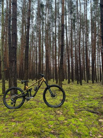 Used Norco Sight A1 2024 2024 Mountainbike, Black, 29 — image 3 of 8