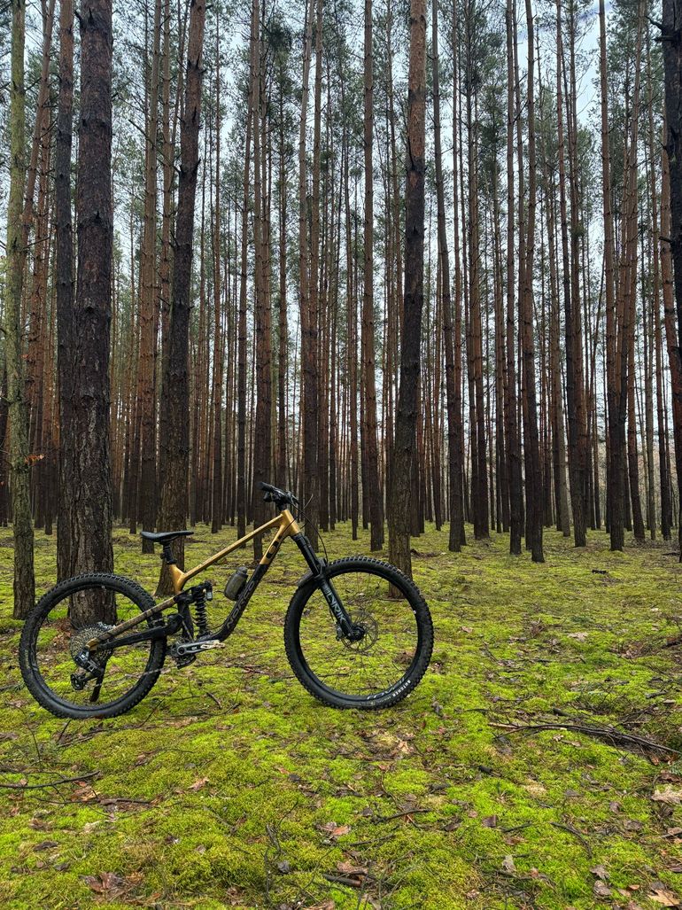 Used Norco Sight A1 2024 2024 Mountainbike, Black, 29 — image 3 of 8