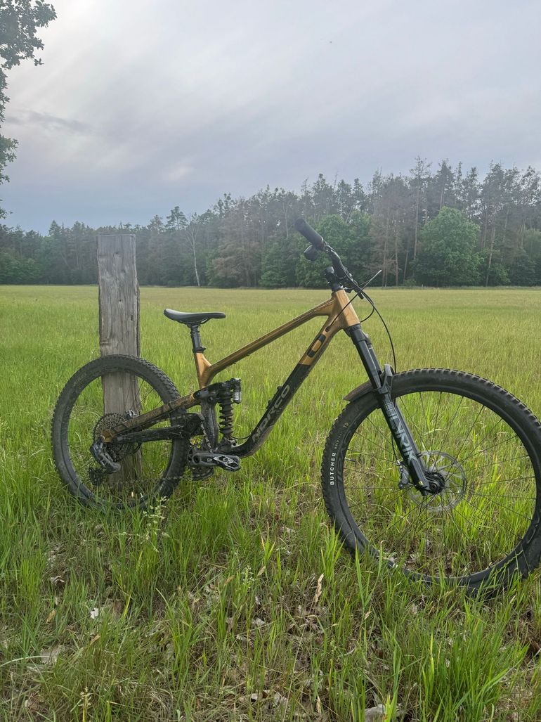 Used Norco Sight A1 2024 2024 Mountainbike, Black, 29 — image 6 of 8