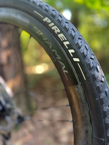 Pedemonte Custom Campagnolo Ekar 2022 Road & Gravel d'occasion — image 7 sur 15