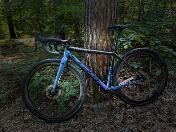 Pedemonte Custom Campagnolo Ekar 2022 Road & Gravel d'occasion — image 2 sur 15