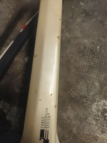 Käytetty Intense TRACER 29 FRAMESET 2026 Frameset 2026 Mountainbike — kuva 16 / 16