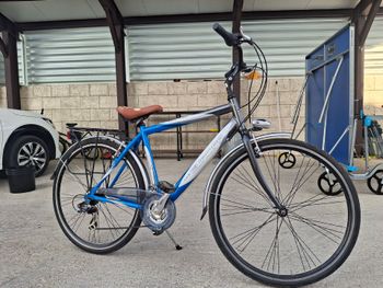 Used Cicli europa Custom Other Shimano 2014 Urban & Touring