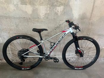 Tweedehands Rock Machine Thunder 29 HD LTD Kid 2024 Kids & Youth