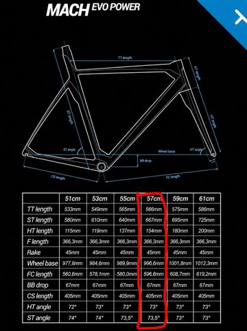 Used B’TWIN Custom Campagnolo Athena 2016 Road & Gravel, Black — image 16 of 16