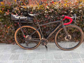 Used Specialized Diverge Comp Carbon 2021 2021 Road & Gravel