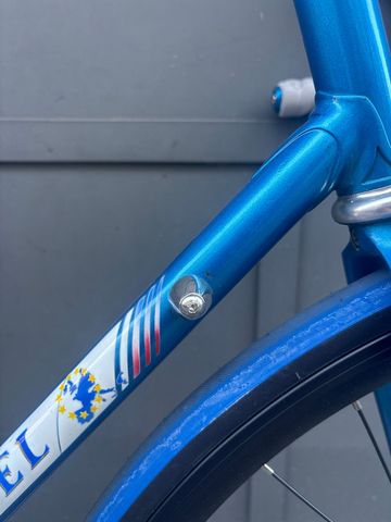Używany Alain Michel Custom Single Speed / Fixed Gear 1990 Road & Gravel — zdjęcie 15 z 41
