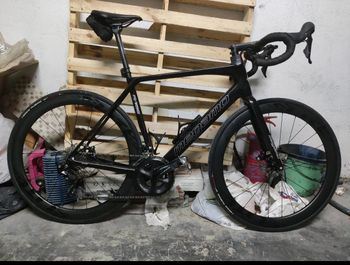 Used Megamo RAISE 05 2021 2021 Road & Gravel