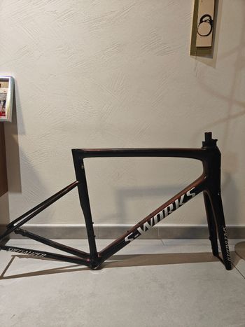 Gebrauchtes S Works Custom Frameset 2024 Road & Gravel