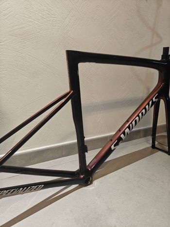 Used S Works Custom Frameset 2024 Road & Gravel, Purple — image 2 of 8