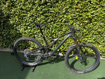 Used Specialized S-Works Stumpjumper 29 2019 2019 MTB