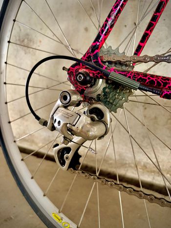 Used Conor Custom Campagnolo Chorus 1999 Road & Gravel, Black — image 5 of 15
