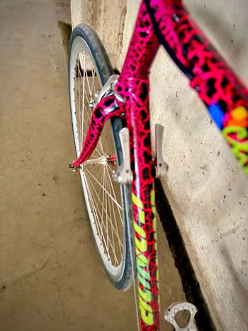 Used Conor Custom Campagnolo Chorus 1999 Road & Gravel, Black — image 12 of 15
