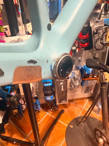 Gebrauchtes Canyon Endurace Frameset 2024 Road & Gravel, Blau — Bild 13 von 18