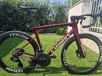 Used S Works Custom Frameset 2024 Road & Gravel