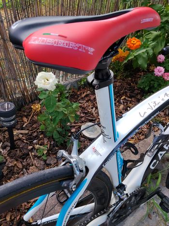 Used Carrera Custom Shimano Ultegra 2015 Road & Gravel, White — image 5 of 14