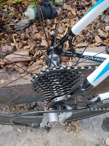 Used Carrera Custom Shimano Ultegra 2015 Road & Gravel, White — image 4 of 14