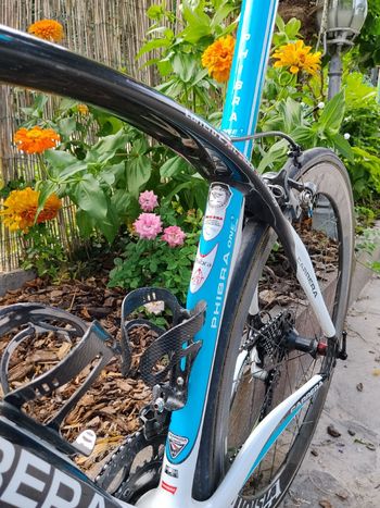 Used Carrera Custom Shimano Ultegra 2015 Road & Gravel, White — image 10 of 14