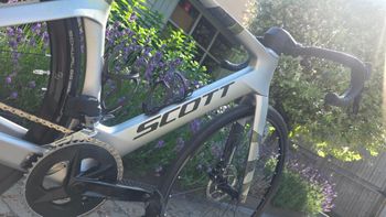 Scott Foil RC 30 2025 2025 Road & Gravel usato, Grigio chiaro — immagine 4 di 17