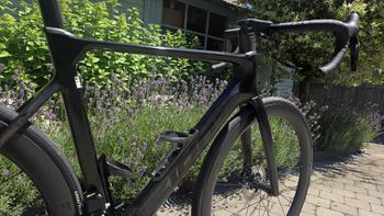 Brugt Giant Propel Advanced 1 2025 2025 Road & Gravel — billede 3 af 17