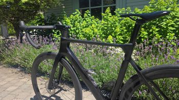 Brugt Giant Propel Advanced 1 2025 2025 Road & Gravel — billede 14 af 17