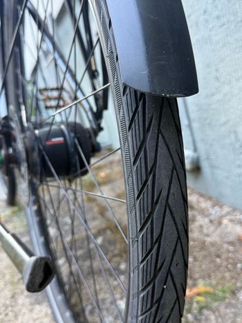Used Stevens Boulevard Luxe Shimano Nexus Hub Gear 2022 Road & Gravel, Light Gray — image 13 of 14