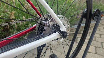 Brugt Koga Kimera Premium 2023 2023 Road & Gravel — billede 13 af 17