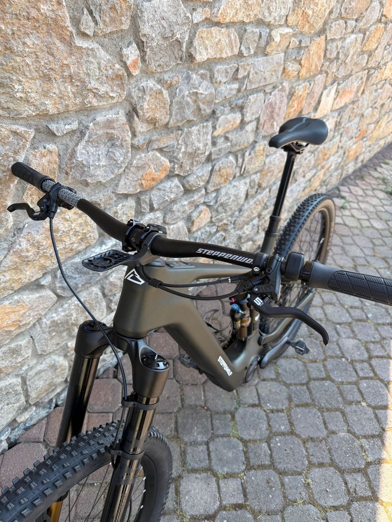 Used Steppenwolf Custom SRAM GX Eagle AXS 2026 Mountainbike, Green — image 4 of 9