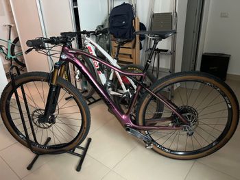 Used Lapierre PRORACE SAT 6.9 2020 2020 MTB