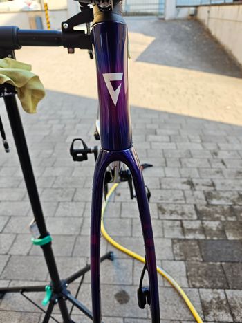 Giant Propel Frameset 2026 Road & Gravel usato, Viola — immagine 11 di 24