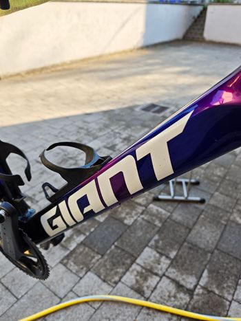 Giant Propel Frameset 2026 Road & Gravel usato, Viola — immagine 12 di 24