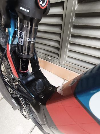 Used Wilier Triestina 2021 Mountainbike, Blue — image 19 of 20